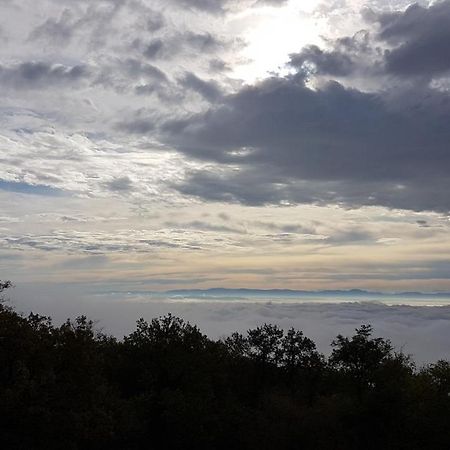 Domaine Du Haut-Koenigsbourg Оршвилер Екстериор снимка