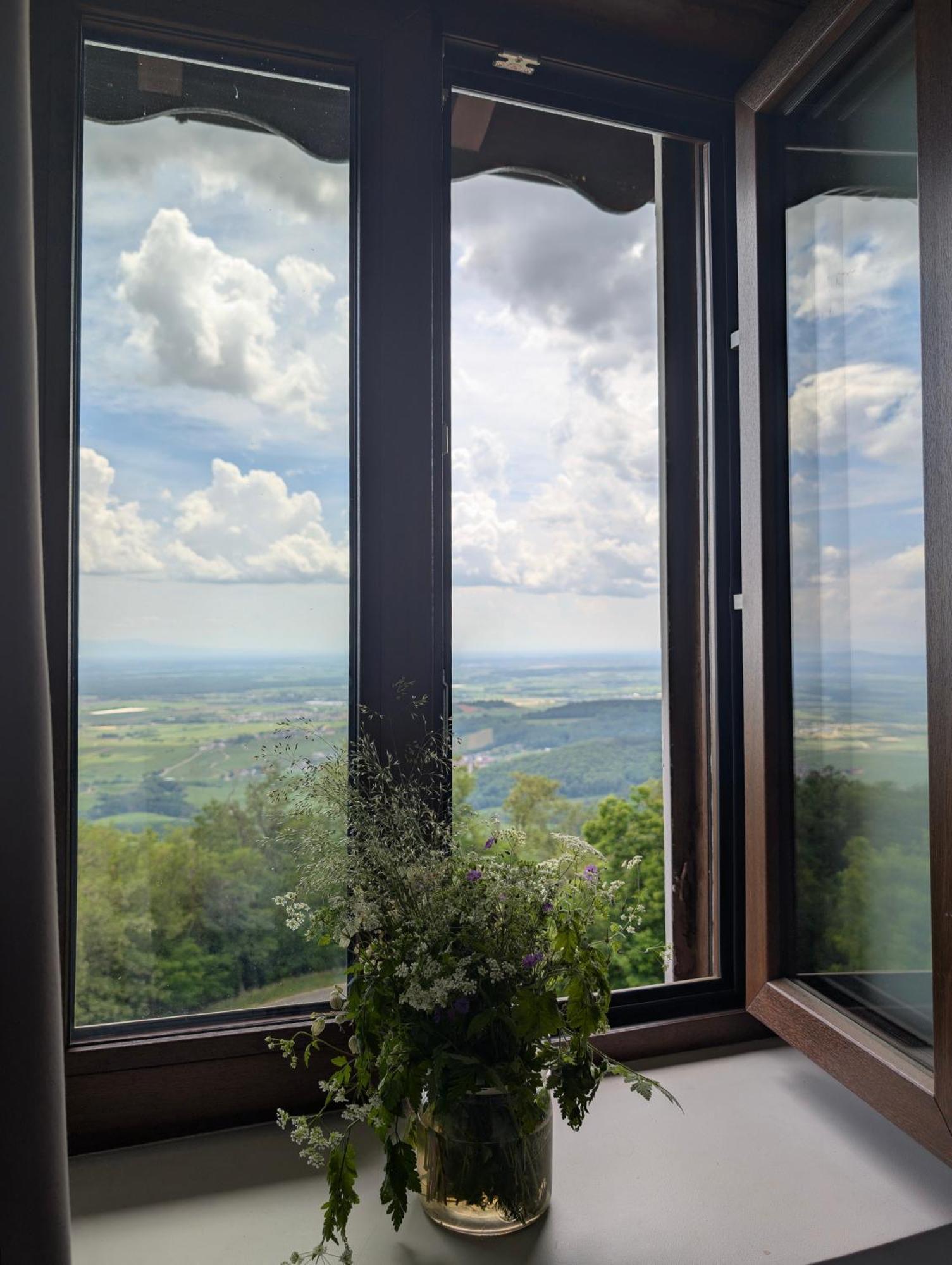 Domaine Du Haut-Koenigsbourg Оршвилер Екстериор снимка