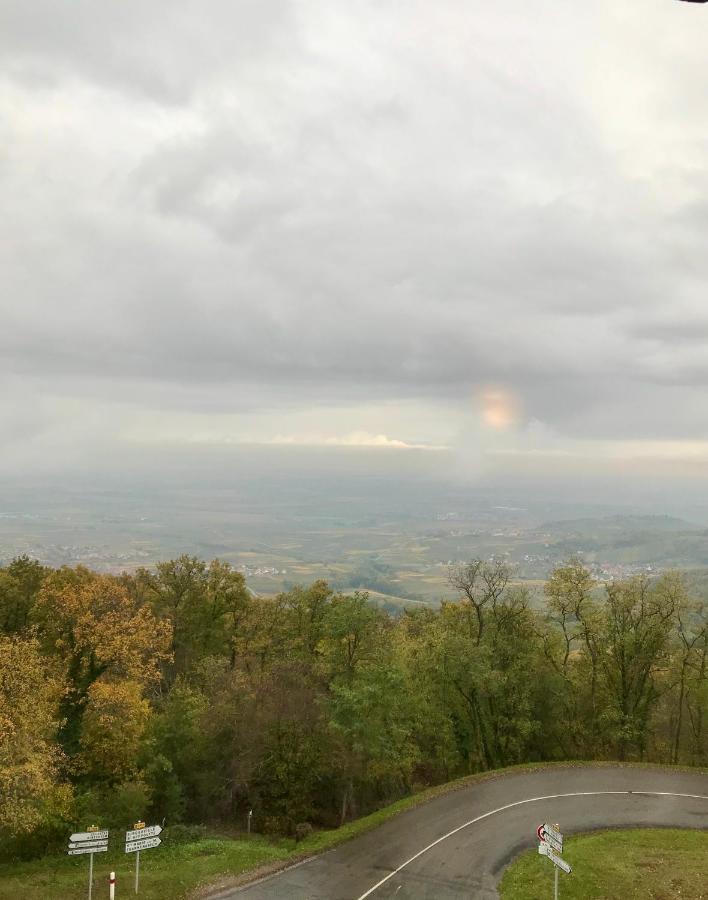 Domaine Du Haut-Koenigsbourg Оршвилер Екстериор снимка