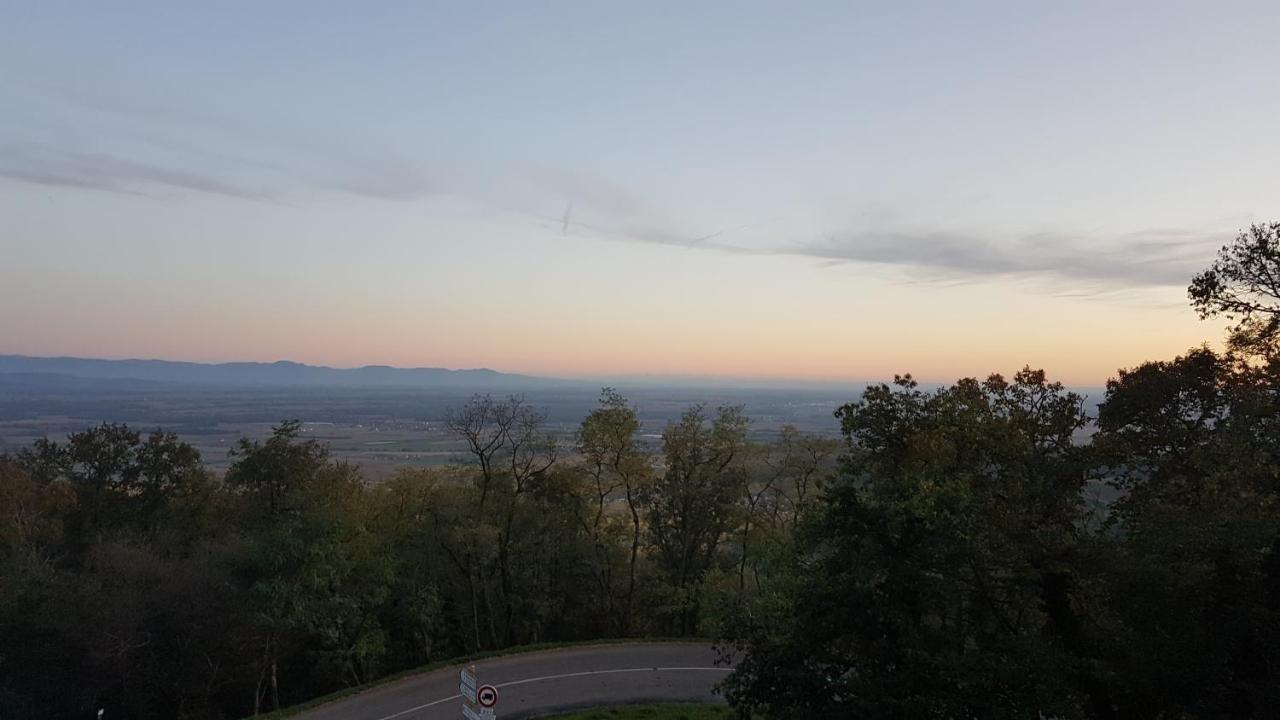 Domaine Du Haut-Koenigsbourg Оршвилер Екстериор снимка